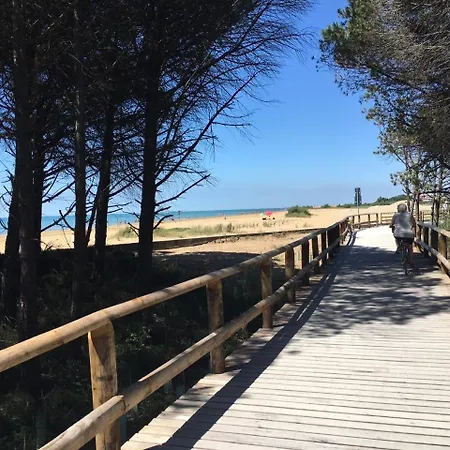 Dogi Sud * Bibione