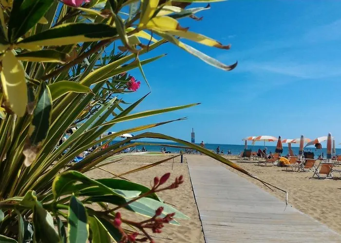Dogi Sud Bibione