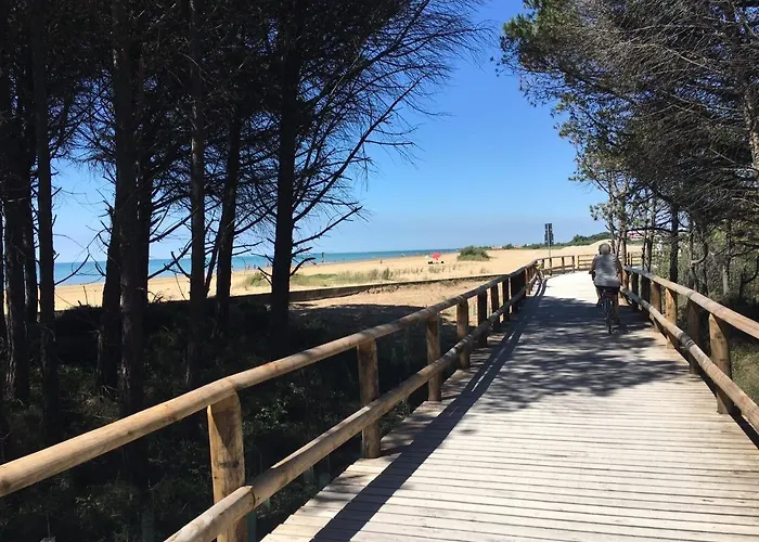 Dogi Sud * Bibione