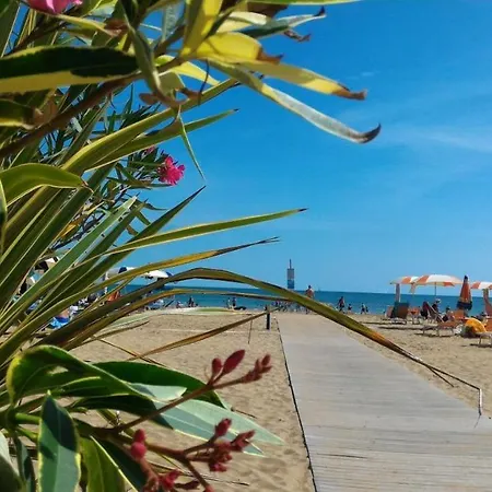 Dogi Sud Bibione